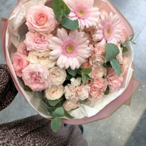 Spring Harmony – Hòa khúc mùa xuân