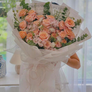 Shining Hope – Hy vọng rực sáng