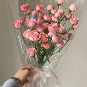 Morning Dew – Giọt sương mai