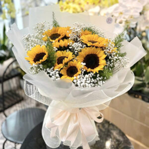 Bright Morning – Buổi sáng rạng ngời